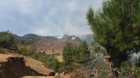 Kahramanmaraş'ta Dün Çıkan Orman Yangını Kontrol Altına Alındı