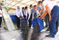 Kumluca'da İlk Zeytinyağı Sıkımı Gerçekleştirildi Haberi