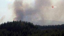 Suriye'nin Hatay Sınırındaki Orman Yangını Sürüyor