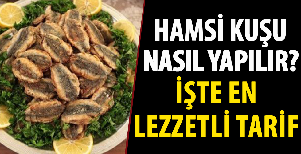 Hamsi Kuşu nasıl yapılır?