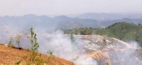 Kahramanmaraş'taki Yangınlarda 65 Hektar Orman Alanı Zarar Gördü