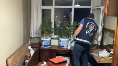 (Özel) İstanbul'un Göbeğindeki Uyuşturucu Serasına Operasyon Kamerada
