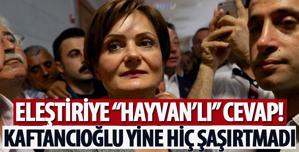 CHP'li Canan Kaftancıoğlu işbaşında!