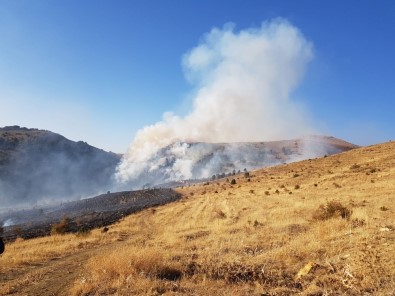 Sarız'da Ormanlık Alanda Yangın Çıktı