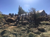 Yüksekova'da Çıkan Yangında 4 Bin 500 Bağ Ot Yandı