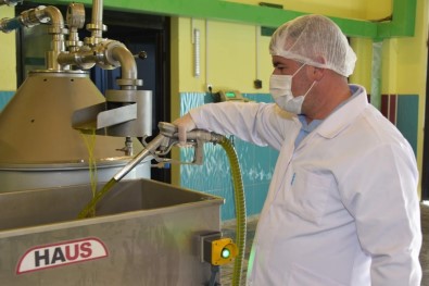 Aliağalı Girişimciden Kaliteli Zeytinyağı Atağı