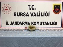 Bursa'da 851 Adet Uyuşturucu Hap Ele Geçirildi