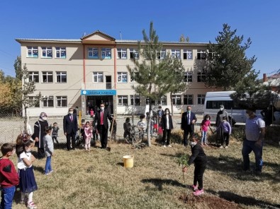 Köy Okullarında 300 Adet Meşe Palamudu İle 50 Adet Ceviz Fidanı Dikildi