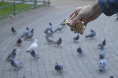 Kuşlar Yemlerinden, Satıcılar Ekmeğinden Oldu