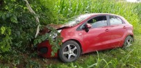Ot Biçerken Otomobilin Çarptığı Kişi, 3 Aylık Yaşam Mücadelesini Kaybetti Haberi
