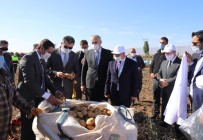 Vali Memiş, Pasinler'e Soğutma Deposu Sözü Verdi