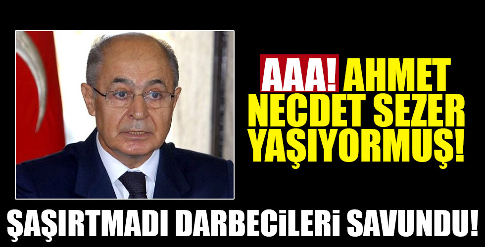 Ahmet Necdet Sezer darbecileri savundu!