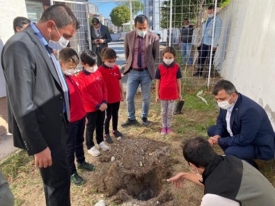 Fidan Dikerek Hatay'daki Orman Yangınına Dikkat Çektiler