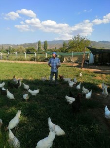 Hobi Olarak Başladı, Çiftlik Sahibi Oldu