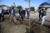 İnegöl'de 52 Fidan Toprakla Buluştu