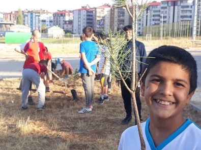 Minik Güreşçiler Çam Fidanı Dikti