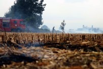 Sakarya'nın Korkulu Rüyası Anız Yangınları Halkı Bezdirdi