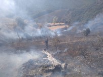 Tunceli'de İki Noktada Yangın Çıktı