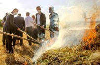 Başkan Doğru'dan Kadın Çiftçiler Günü Mesajı