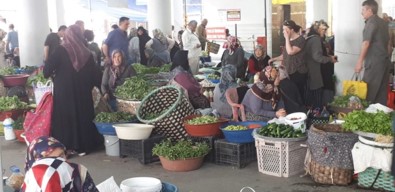 Bozkurt, 15 Ekim Dünya Kadın Çiftçiler Günü'nü Kutladı