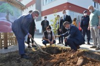 Fatsa'da Fidanlar Toprakla Buluştu