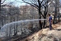 Hatay'da Yanan Ağaçlar Soğutuluyor Haberi