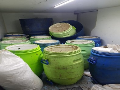 Erdek'te 300 Kilo Deniz Patlıcanı Ele Geçirildi