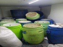 Erdek'te 300 Kilo Deniz Patlıcanı Ele Geçirildi Haberi