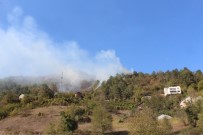 Kastamonu'da Orman Yangını Haberi