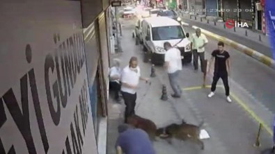 Kavgaya Köpekler De Karıştı, O Anlar Kameraya Yansıdı