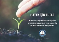 Şahinbey Belediyesi'nden Hatay'a 25 Bin Fidan
