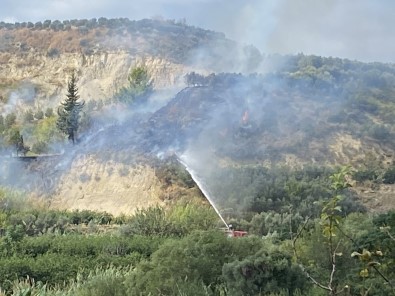 Samandağ'da Bitki Örtüsü Yangını