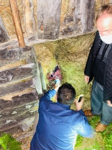 Giresun'da Kaybolan Kadın Jandarma Tarafından Bulundu
