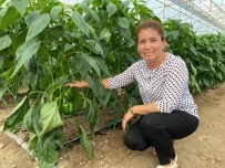 Ziraat Mühendisi Kadın Çiftçi Hem Üretiyor Hem Kadın Çiftçilere Danışmanlık Yapıyor Haberi
