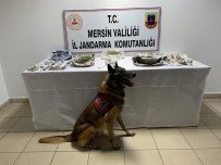 'Çaylak' Ve 'Dünya' Uyuşturucuya Geçit Vermiyor