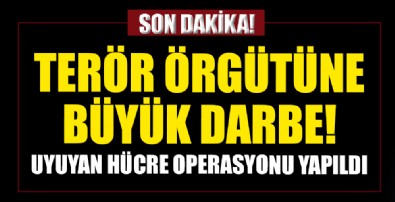 Diyarbakır ve İstanbul'da eş zamanlı operasyon!