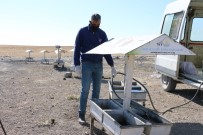 Erciş Belediyesi Sokak Hayvanlarını Unutmuyor