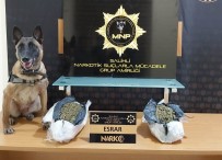 Manisa'da 5 Kilo 340 Gram Esrar Ele Geçirildi