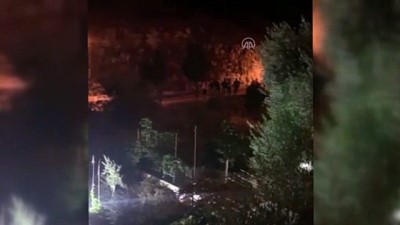 Aydın'da Devrilen Minibüsün Sürücüsü Yaralandı