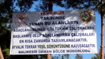Ayvalık'ta Yanan Orman Arazilerinde Ağaçlandırma Çalışmaları Yapılacak