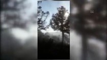 Kastamonu'da Orman Yangınında 5 Hektar Alan Zarar Gördü