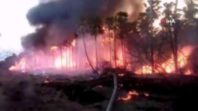 Paraguay'da Orman Yangınları Nedeniyle 'Epidemiyolojik' Hal İlan Edildi