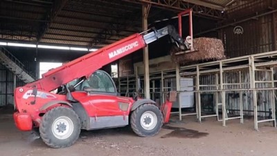 Tarımsal Atıklar Elektriğe Dönüştürülüp Ayda 5 Bin Eve Enerji Sağlanıyor