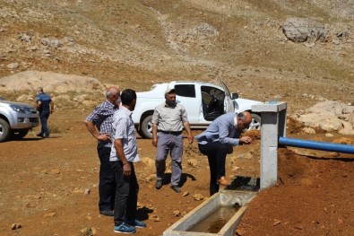 Tunceli'de Yaylalara Yol Ve Hayvanlara Su Desteği