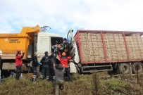 Bolu'da 2 Kamyon Kafa Kafaya Çarpıştı Açıklaması 2 Yaralı