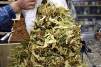 Havalar Soğudu, Ihlamurlar Piyasaya Çıktı