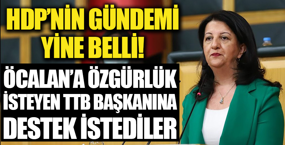 HDP'den TTB Başkanı Şebnem Korur Fincancı'ya destek mesajı