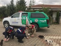 Samsun'da Jandarmanın HAYDİ Ekipleri Takipte Haberi