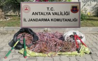 Antalya'da Kablo Hırsızlığı Açıklaması 6 Şüpheli Yakalandı