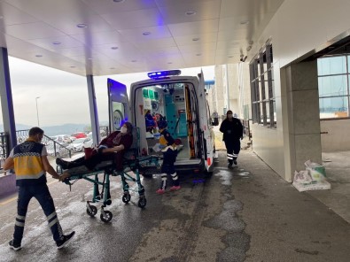 Çilimli'de Mantardan Zehirlenen Kadın Hastaneye Kaldırıldı